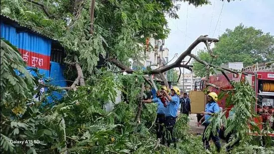Pune: शहर में तबाही के निशान, तेज़ हवाओं से उखड़े 54 पेड़ Pune: शहर में तबाही के निशान, तेज़ हवाओं से उखड़े 54 पेड़