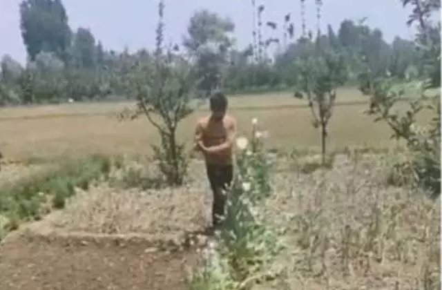 Baramulla : नशीली दवाओं के दुरुपयोग के खिलाफ पुलिस की कार्रवाई, एफआईआर दर्ज Baramulla : नशीली दवाओं के दुरुपयोग के खिलाफ पुलिस की कार्रवाई, एफआईआर दर्ज