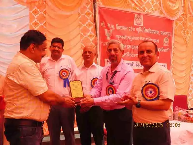 Himachal: मधुमक्खी पालक मधुमक्खियों के संरक्षण के लिए एकजुट हुए Himachal: मधुमक्खी पालक मधुमक्खियों के संरक्षण के लिए एकजुट हुए