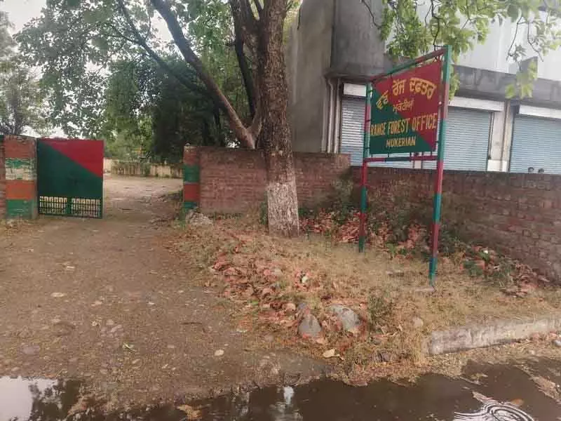 14 साल बाद भी Mukerian वन निरीक्षण झोपड़ी परियोजना में आग लगी 14 साल बाद भी Mukerian वन निरीक्षण झोपड़ी परियोजना में आग लगी