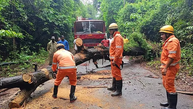 GOA: सुल्कोर्ना-संगुएम में मुख्य सड़क पर पेड़ गिरा, त्वरित प्रतिक्रिया के बाद यातायात बहाल हुआ GOA: सुल्कोर्ना-संगुएम में मुख्य सड़क पर पेड़ गिरा, त्वरित प्रतिक्रिया के बाद यातायात बहाल हुआ