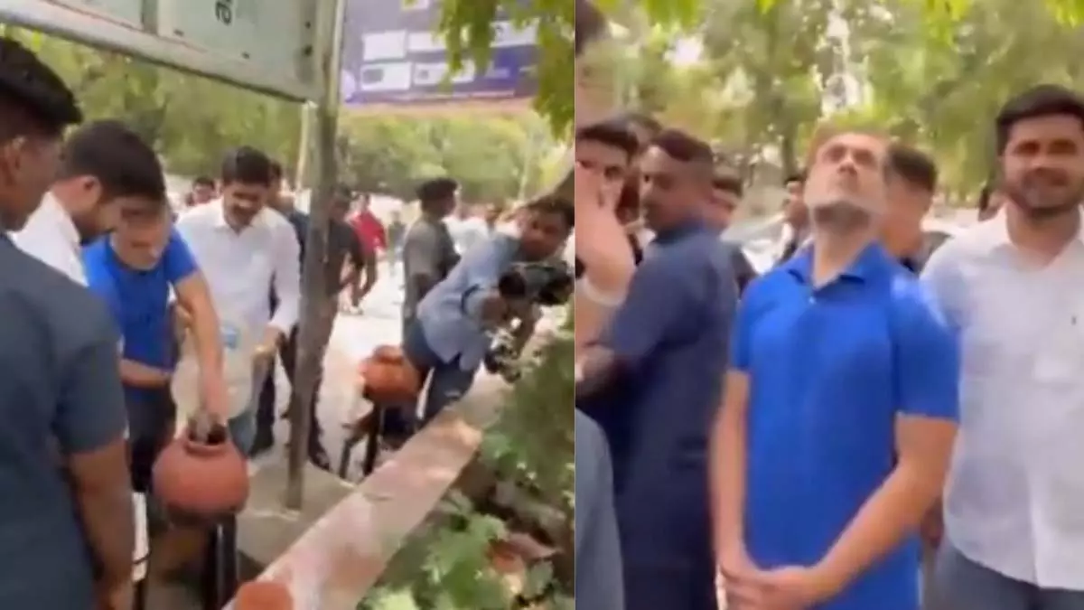 DU कैंपस पहुंचे राहुल गांधी, पौधो में डाला पानी DU कैंपस पहुंचे राहुल गांधी, पौधो में डाला पानी