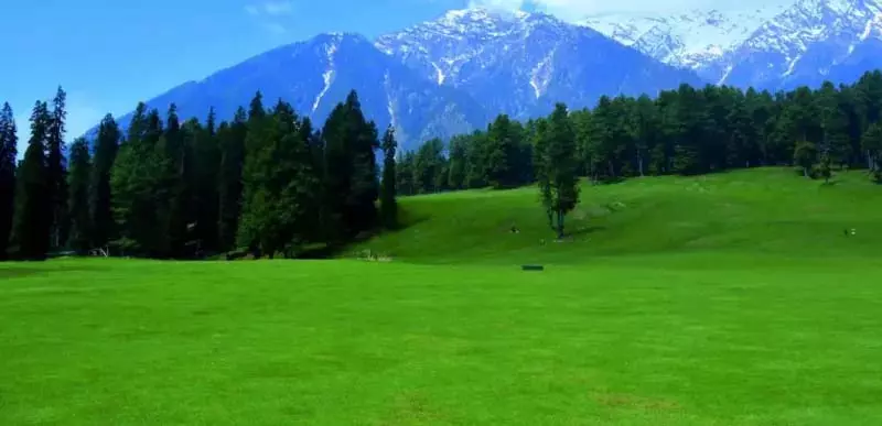 हमले के एक महीने बाद भी Pahalgam के घायल घास के मैदानों में खौफनाक सन्नाटा पसरा हमले के एक महीने बाद भी Pahalgam के घायल घास के मैदानों में खौफनाक सन्नाटा पसरा