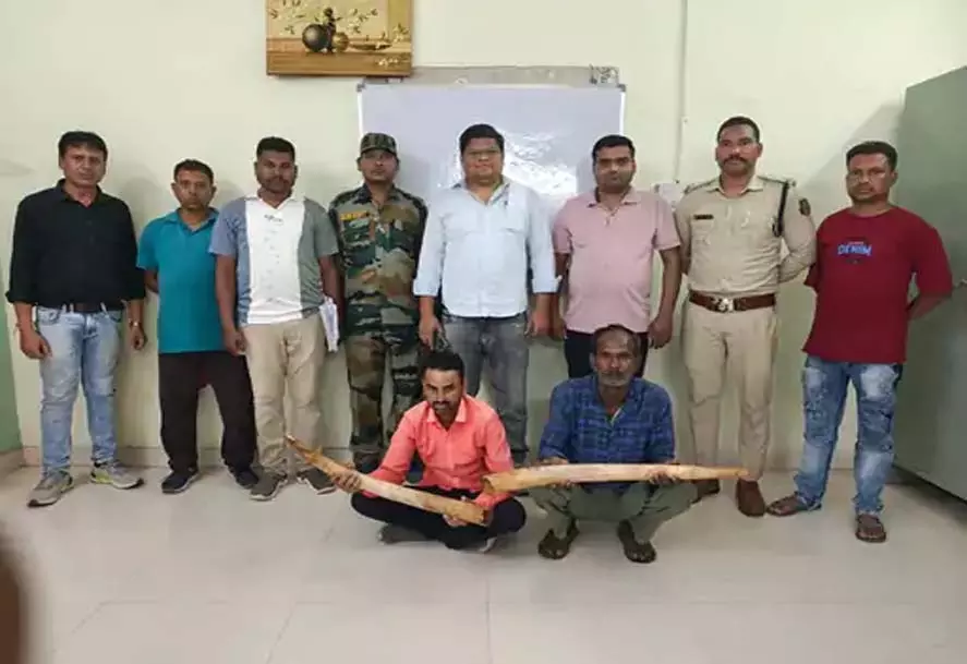 CG: हाथी दांत की तस्करी करने वाले 2 तस्कर गिरफ्तार CG: हाथी दांत की तस्करी करने वाले 2 तस्कर गिरफ्तार
