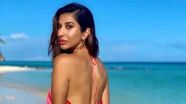 Sophie Choudry ने बॉलीवुड में कास्टिंग काउच का सामना करने का खुलासा किया Sophie Choudry ने बॉलीवुड में कास्टिंग काउच का सामना करने का खुलासा किया
