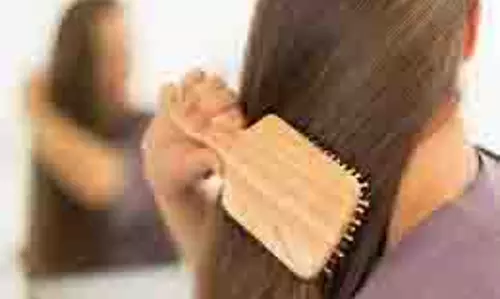 Hair Care: भिंडी के इस्तेमाल के ये आसान तरीके आजमाएं, घर पर ही नेचुरल तरीके से सीधे हो जाएंगे आपके बाल Hair Care: भिंडी के इस्तेमाल के ये आसान तरीके आजमाएं, घर पर ही नेचुरल तरीके से सीधे हो जाएंगे आपके बाल