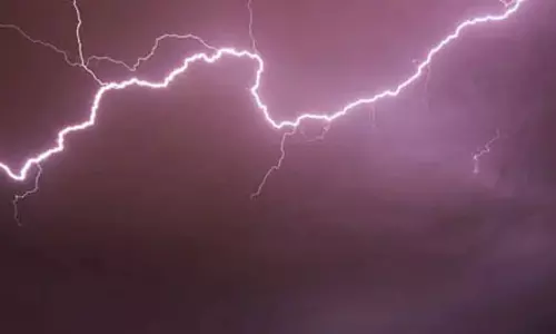 4 मवेशियों की मौत, छत्तीसगढ़ में आकाशीय बिजली का कहर