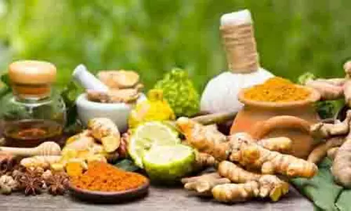 दस जड़ों में छिपा सेहत का खजाना, जानें दशमूल के चमत्कारी फायदे