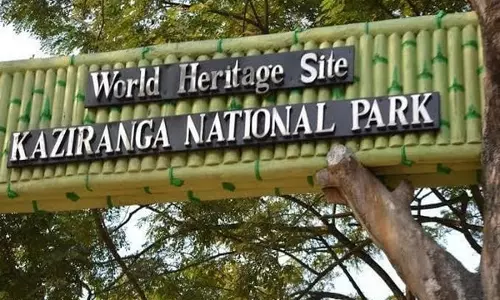 Assam: मानसून के मौसम से पहले काजीरंगा में बाढ़ की तैयारियों पर अधिकारियों ने बैठक की