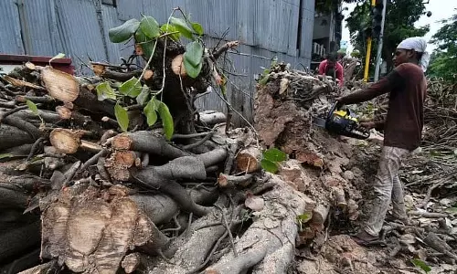 Mumbai : बायकुला किंजल टॉवर के पास खड़ी गाड़ियों पर पेड़ गिरने से एक व्यक्ति घायल Mumbai : बायकुला किंजल टॉवर के पास खड़ी गाड़ियों पर पेड़ गिरने से एक व्यक्ति घायल