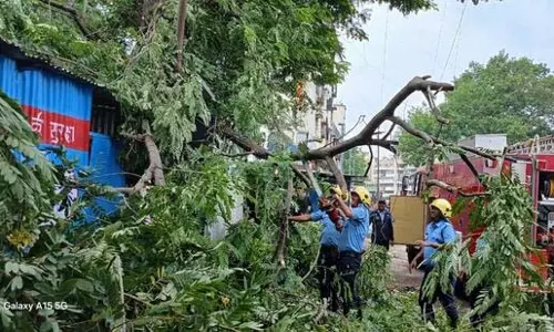 Pune: शहर में तबाही के निशान, तेज़ हवाओं से उखड़े 54 पेड़ Pune: शहर में तबाही के निशान, तेज़ हवाओं से उखड़े 54 पेड़