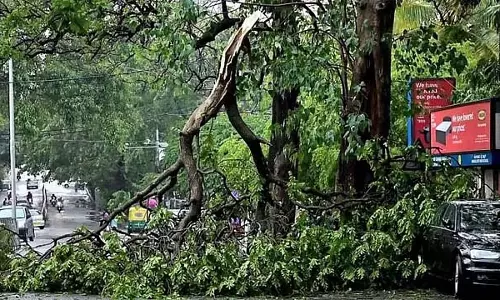 Bengaluru : पेड़ की टहनी गिरने से इलेक्ट्रीशियन की मौत, एक अन्य घायल Bengaluru : पेड़ की टहनी गिरने से इलेक्ट्रीशियन की मौत, एक अन्य घायल