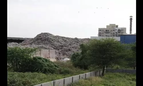 Punawale को मिली बड़ी राहत, कचरा डिपो की योजना खत्म Punawale को मिली बड़ी राहत, कचरा डिपो की योजना खत्म