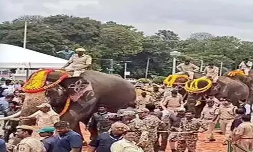 Nara Lokesh ने आंध्र प्रदेश में कुमकी हाथियों को लाने के लिए पवन की प्रशंसा की Nara Lokesh ने आंध्र प्रदेश में कुमकी हाथियों को लाने के लिए पवन की प्रशंसा की