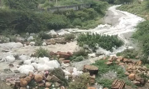 Karnataka : कोलारम्मा झील में फिर झाग