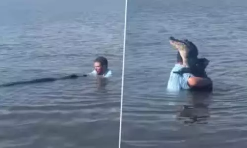OMG: मगरमच्छ के साथ डांस करता दिखा शख्स, VIDEO देख हैरान हुए लोग