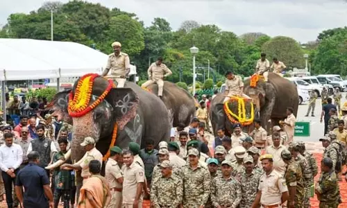दो राज्यों के बीच हाथियों को लेकर अनोखा समझौता