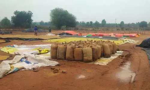 पूर्ववर्ती Adilabad के कुछ हिस्सों में हल्की से मध्यम बारिश देखी गई