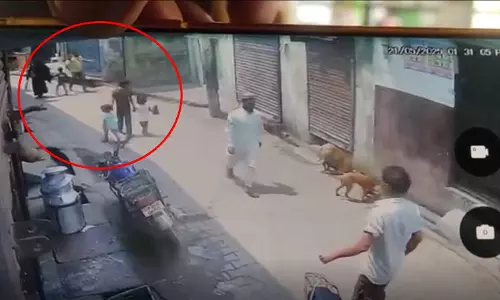 मौत का LIVE वीडियो, युवक सड़क पर धड़ाम से गिरा मौत का LIVE वीडियो, युवक सड़क पर धड़ाम से गिरा