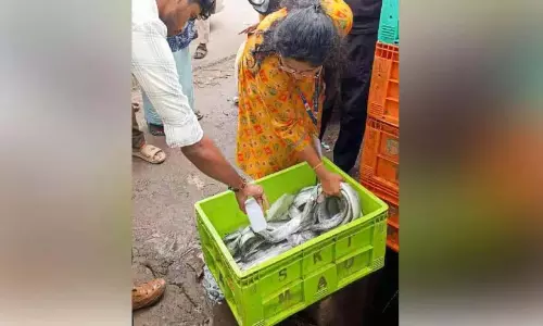 Kerala : तिरूर में 25 किलो मृत मछली पकड़ी गई