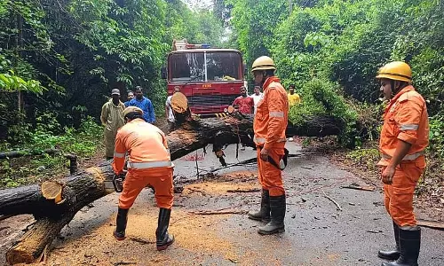 GOA: सुल्कोर्ना-संगुएम में मुख्य सड़क पर पेड़ गिरा, त्वरित प्रतिक्रिया के बाद यातायात बहाल हुआ