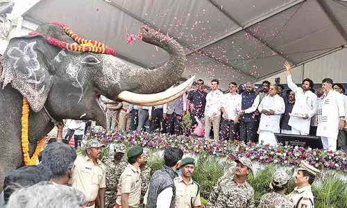 Andhra : कुमकी हाथी आ रहे
