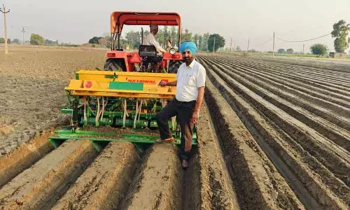 नई SRB तकनीक से धान की खेती में पानी का उपयोग 75% तक कम हुआ नई SRB तकनीक से धान की खेती में पानी का उपयोग 75% तक कम हुआ
