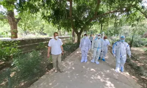 तीन दिन बीतने के बाद भी नहीं आई रिपोर्ट, Bird flu का खतरा बरकरार तीन दिन बीतने के बाद भी नहीं आई रिपोर्ट, Bird flu का खतरा बरकरार
