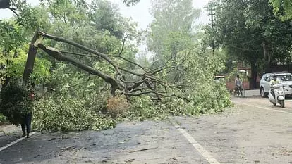 UP News: आंधी-बारिश से शहर में हुआ 138 करोड़ का नुकसान UP News: आंधी-बारिश से शहर में हुआ 138 करोड़ का नुकसान
