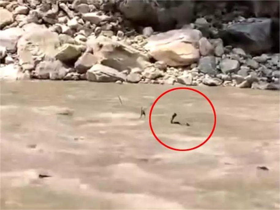Himachal: : बांध से अचानक पानी छोड़े जाने से दो पर्यटक नदी में बहे, एक का शव बरामद Himachal: : बांध से अचानक पानी छोड़े जाने से दो पर्यटक नदी में बहे, एक का शव बरामद
