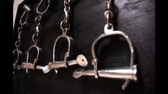 Mumbai: कॉलेज प्रिंसिपल पर POCSO केस दर्ज Mumbai: कॉलेज प्रिंसिपल पर POCSO केस दर्ज