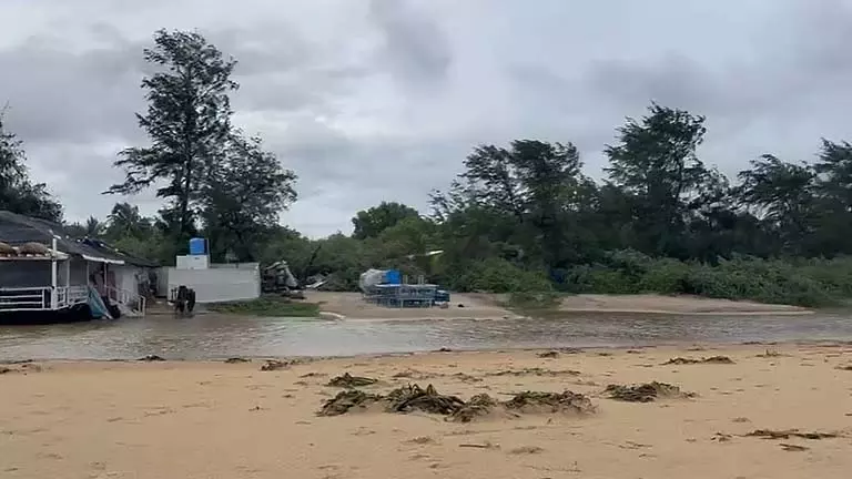 GOA: कैवेलोसिम-मोबोर समुद्र तट पर मृत मछलियाँ और जलीय पौधे बहकर किनारे पर आए GOA: कैवेलोसिम-मोबोर समुद्र तट पर मृत मछलियाँ और जलीय पौधे बहकर किनारे पर आए