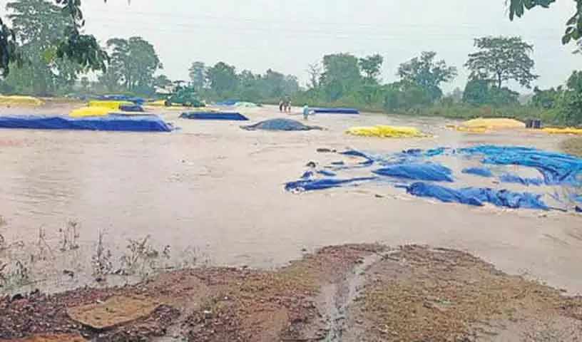 Telangana में भारी बारिश से कृषि गतिविधियां बाधित Telangana में भारी बारिश से कृषि गतिविधियां बाधित