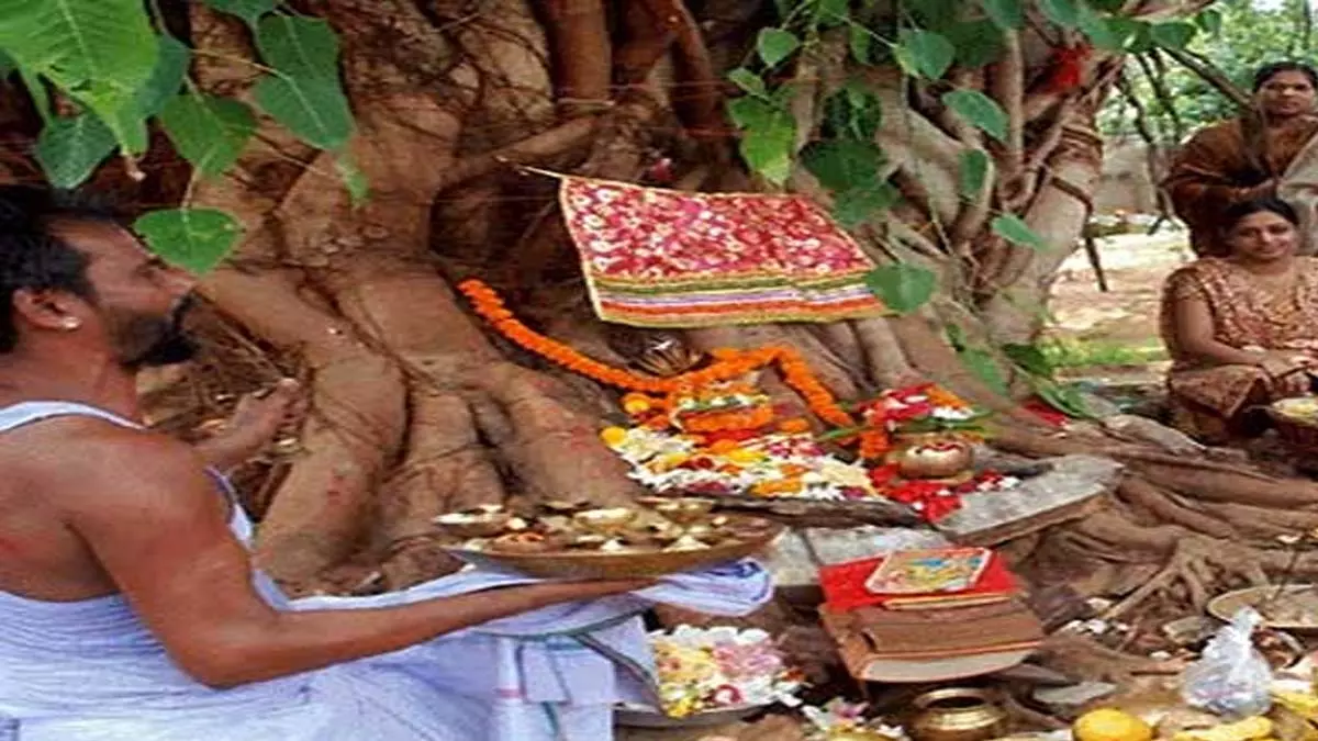 Odisha के मुख्यमंत्री ने सावित्री अमावस्या की छुट्टी 26 मई को तय की Odisha के मुख्यमंत्री ने सावित्री अमावस्या की छुट्टी 26 मई को तय की