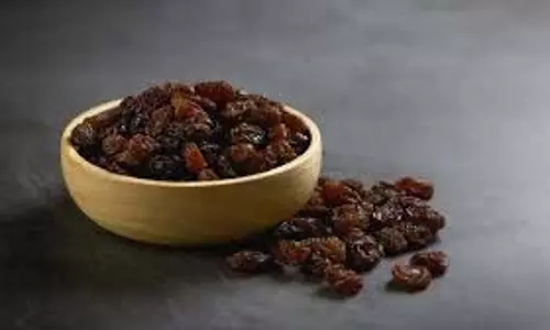 Health:जानें शरीर के किस अंग के लिए फायदेमंद है मुनक्का