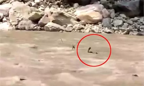 Himachal: : बांध से अचानक पानी छोड़े जाने से दो पर्यटक नदी में बहे, एक का शव बरामद Himachal: : बांध से अचानक पानी छोड़े जाने से दो पर्यटक नदी में बहे, एक का शव बरामद