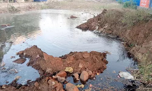 Karnataka : पानी की कोई कमी नहीं, इसके उपयोग के लिए जागरूकता जरूरी