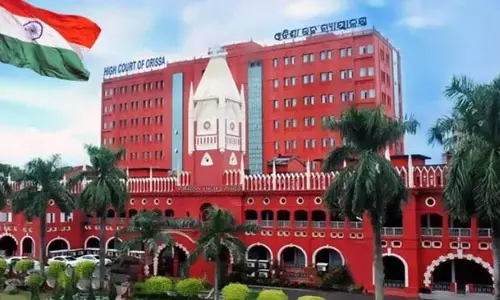 उड़ीसा हाईकोर्ट ने दो महीने की सफाई शर्त पर बैंक डिफॉल्टर को जमानत दी