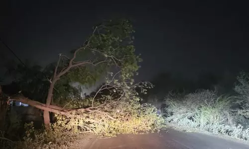 Haryana :  हिसार क्षेत्र में धूल भरी आंधी से दो लोगों की मौत