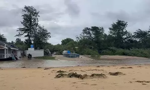 GOA: कैवेलोसिम-मोबोर समुद्र तट पर मृत मछलियाँ और जलीय पौधे बहकर किनारे पर आए