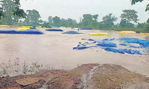 Telangana में भारी बारिश से कृषि गतिविधियां बाधित
