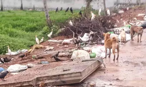 Kerala : बाईपास रोड पर कूड़ा डंपिंग बढ़ रही
