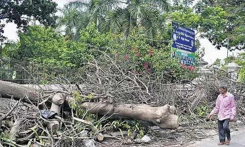 वर्षा जल निकासी परियोजना: BBMP को विश्व बैंक से 1,600 करोड़ का ऋण मिला वर्षा जल निकासी परियोजना: BBMP को विश्व बैंक से 1,600 करोड़ का ऋण मिला