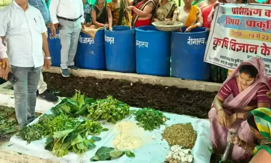 Basti: प्राकृतिक खेती के गुर सीख रहीं कृषि सखियां Basti: प्राकृतिक खेती के गुर सीख रहीं कृषि सखियां