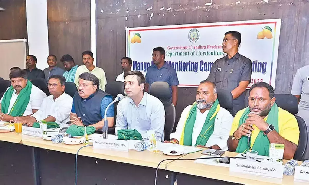 चित्तूर में मैंगो बोर्ड स्थापित करने के प्रयास जारी: प्रसाद राव