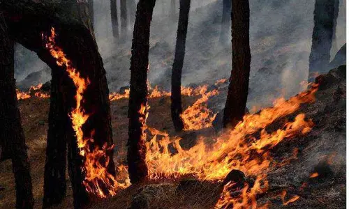 Poonch में नियंत्रण रेखा पर जंगल में लगी आग से बारूदी सुरंग विस्फोट Poonch में नियंत्रण रेखा पर जंगल में लगी आग से बारूदी सुरंग विस्फोट
