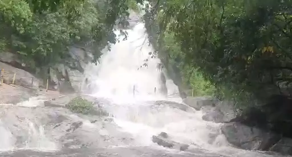 कोयंबटूर कोर्टालम अस्थायी रूप से बंद: वन विभाग की घोषणा कोयंबटूर कोर्टालम अस्थायी रूप से बंद: वन विभाग की घोषणा