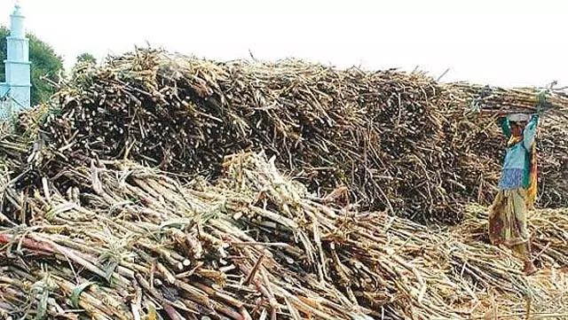 गन्ना किसानों के लिए 97.77 करोड़ आवंटित करने का सरकारी आदेश जारी गन्ना किसानों के लिए 97.77 करोड़ आवंटित करने का सरकारी आदेश जारी