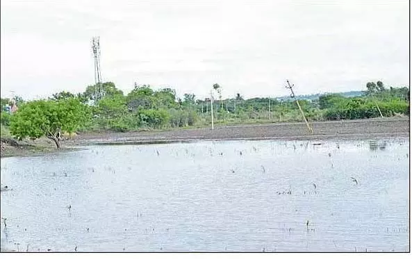 Bidar : लगातार बारिश से बढ़ी नमी Bidar : लगातार बारिश से बढ़ी नमी