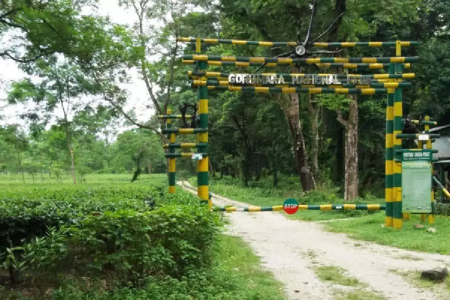 Bengal वन विभाग जंगलों में शाकाहारी जानवरों के लिए नए घास के मैदान बनाने की योजना Bengal वन विभाग जंगलों में शाकाहारी जानवरों के लिए नए घास के मैदान बनाने की योजना